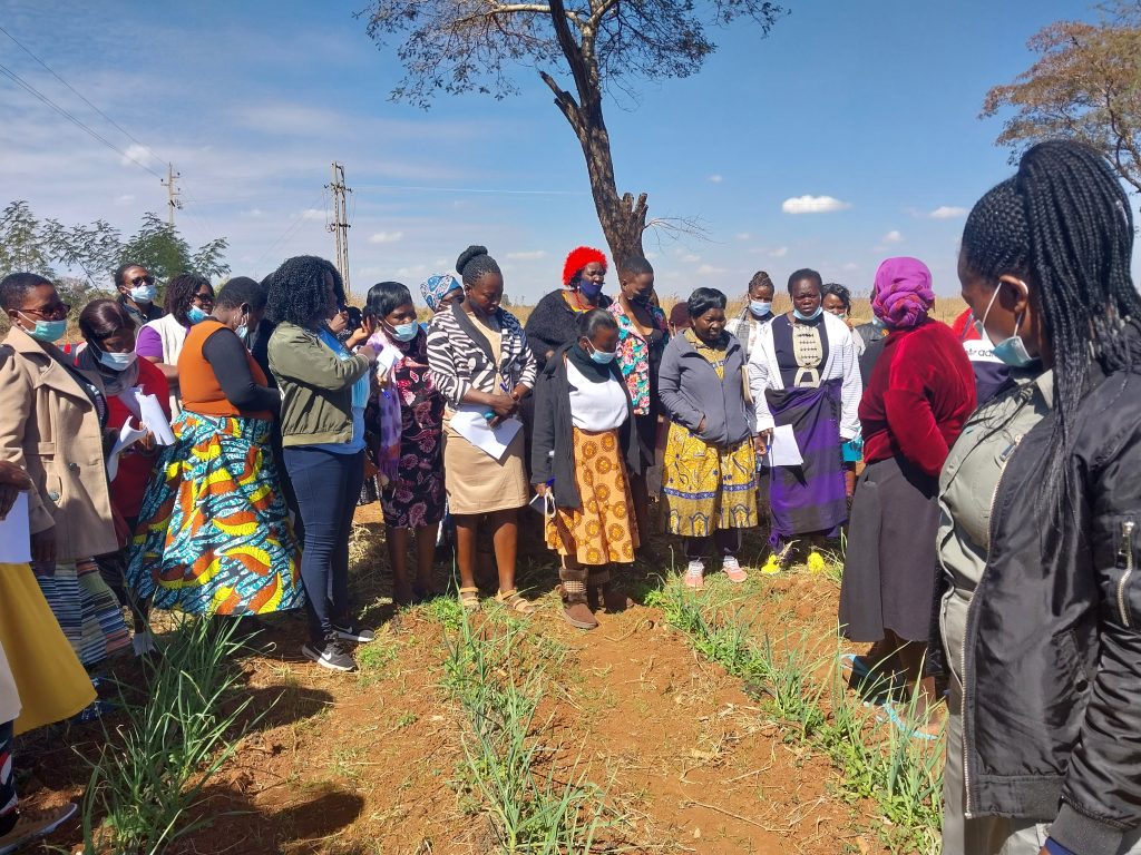 women farmers receiving nuggets on garlic production