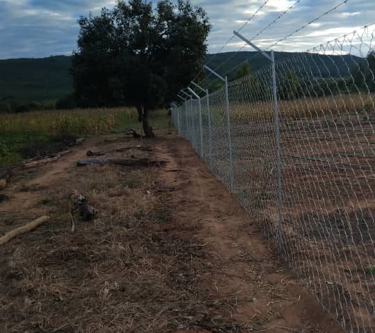 Chinyika Nutritional Garden