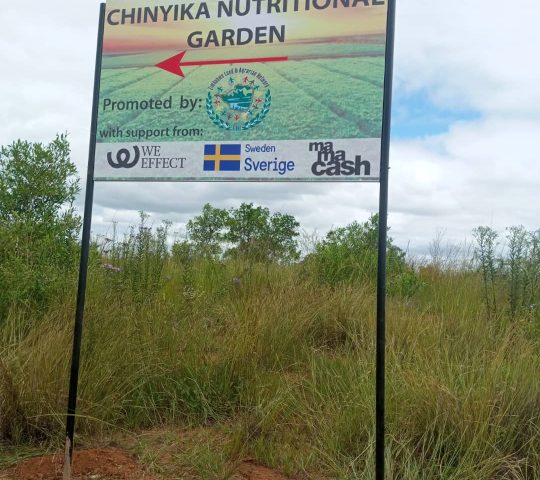Chinyika Nutritional Garden