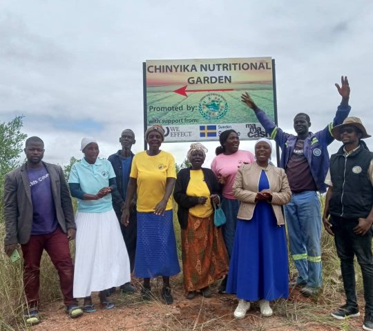 Chinyika Nutritional Garden