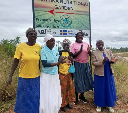 Chinyika Nutritional Garden