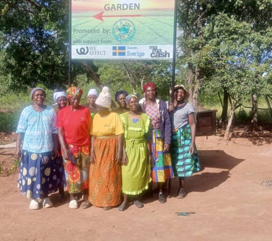 Chinyika Nutritional Garden