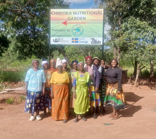 Chinyika Nutritional Garden