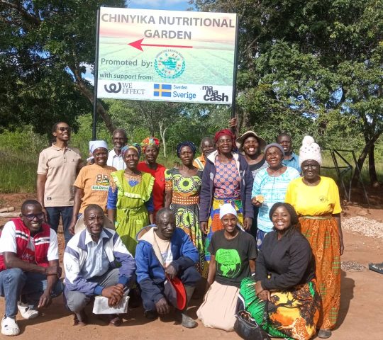 Chinyika Nutritional Garden