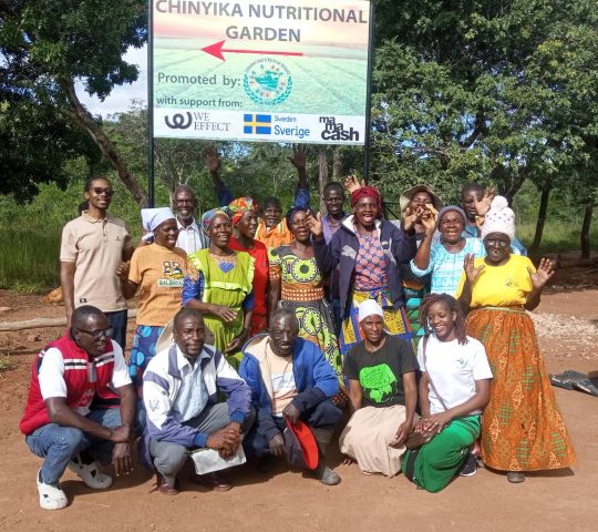 Chinyika Nutritional Garden