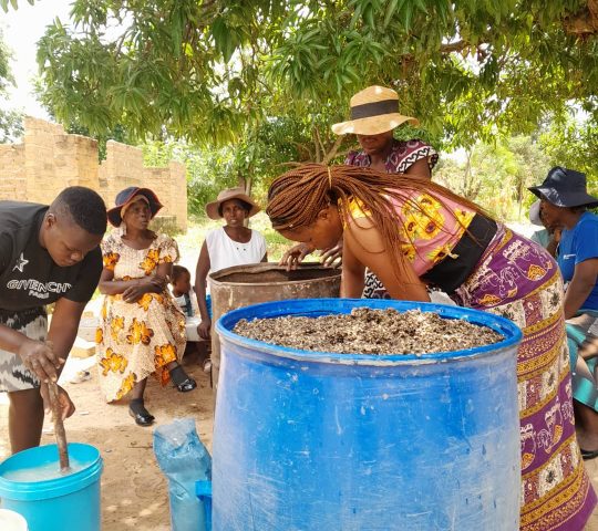 Mushroom Farmers Training (Sterilization)