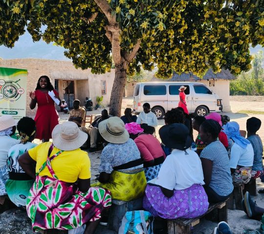 WhatsApp Image 2026-01-28 at 12.56.43